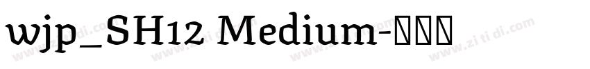 wjp_SH12 Medium字体转换 wjp_SH12 Medium字体转换